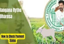 How to Check Telangana Rythu Bharosa Payment Status Online: A Step-by-Step Guide