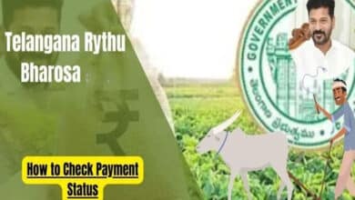 How to Check Telangana Rythu Bharosa Payment Status Online: A Step-by-Step Guide