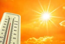 Tamil Nadu Weather Update: Rising Temperatures Expected Across Multiple Districts