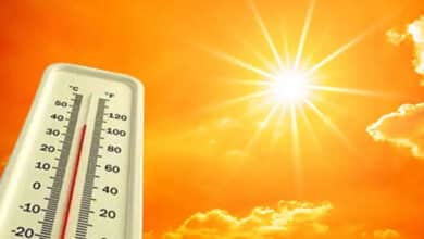 Tamil Nadu Weather Update: Rising Temperatures Expected Across Multiple Districts