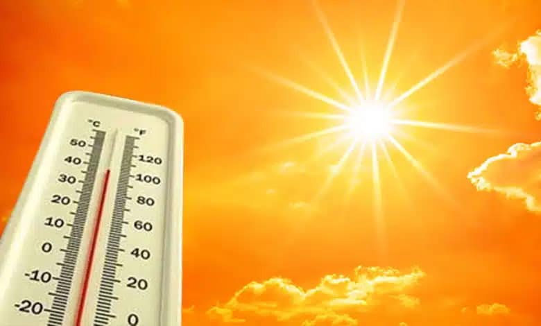 Tamil Nadu Weather Update: Rising Temperatures Expected Across Multiple Districts