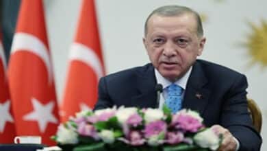 Erdogan Condemns Forced Displacement in Gaza as 'Pure Brutality'