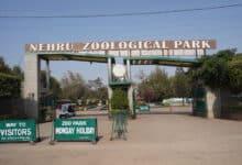 Hyderabad: Nehru Zoo Park Hikes Ticket Prices: New Rates Effective from March 1