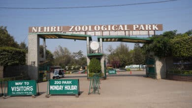 Hyderabad: Nehru Zoo Park Hikes Ticket Prices: New Rates Effective from March 1