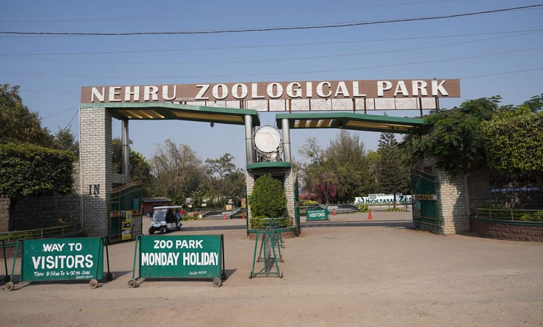 Hyderabad: Nehru Zoo Park Hikes Ticket Prices: New Rates Effective from March 1