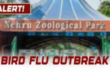 Hyderabad: Nehru Zoological Park Implements Emergency Protocols as Bird Flu Spreads Across India