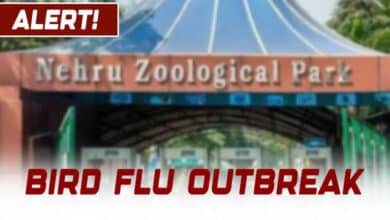 Hyderabad: Nehru Zoological Park Implements Emergency Protocols as Bird Flu Spreads Across India