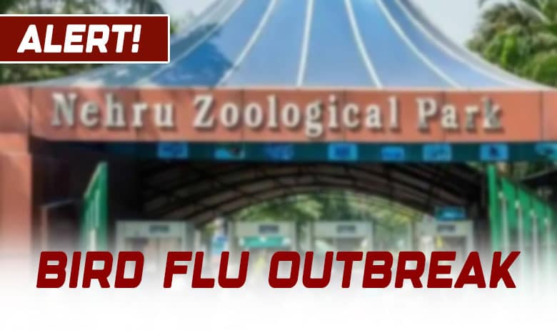 Hyderabad: Nehru Zoological Park Implements Emergency Protocols as Bird Flu Spreads Across India