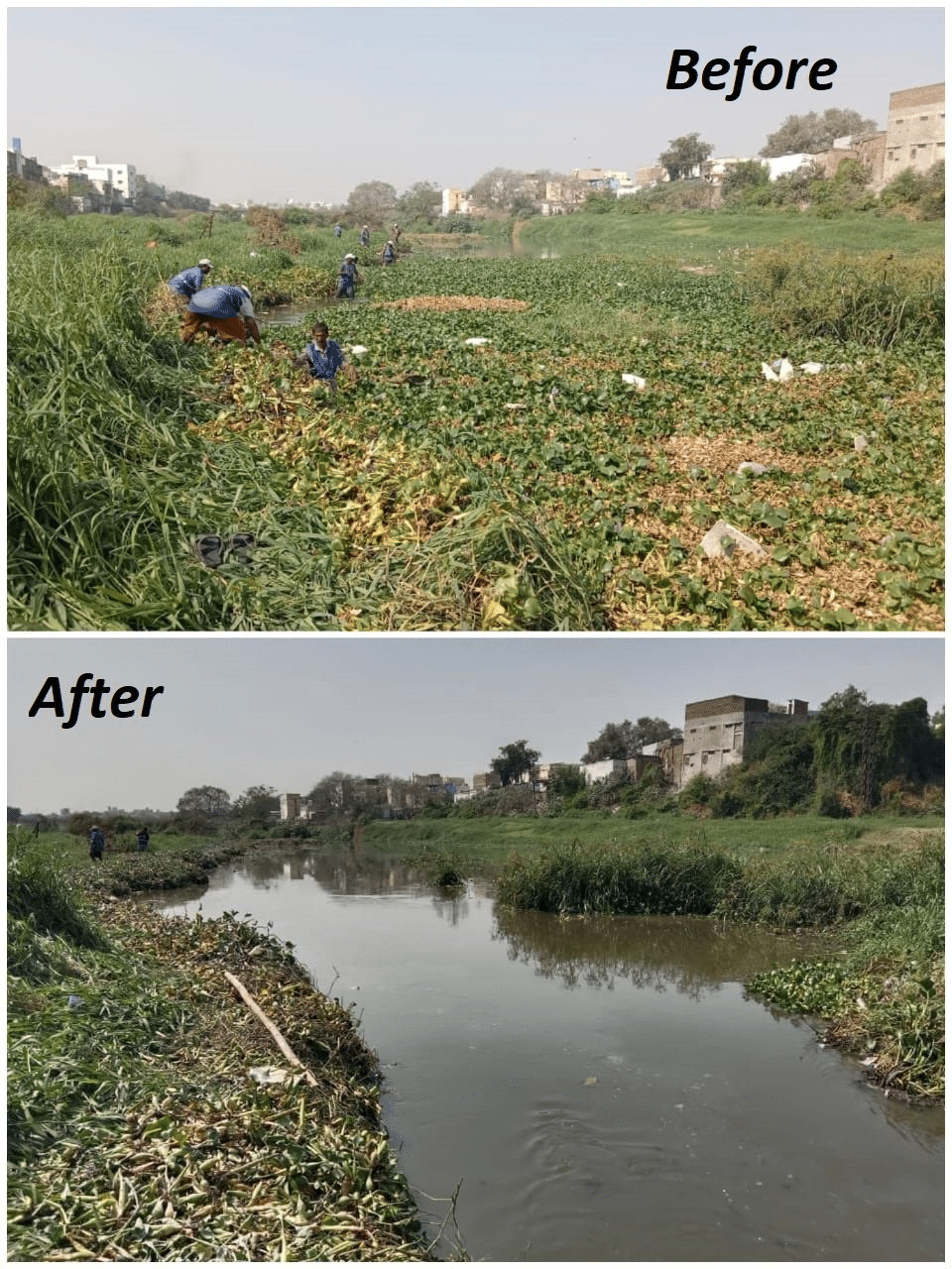 image 14 Musi River Clean-Up: GHMC Launches Major Operation to Curb Mosquito Breeding