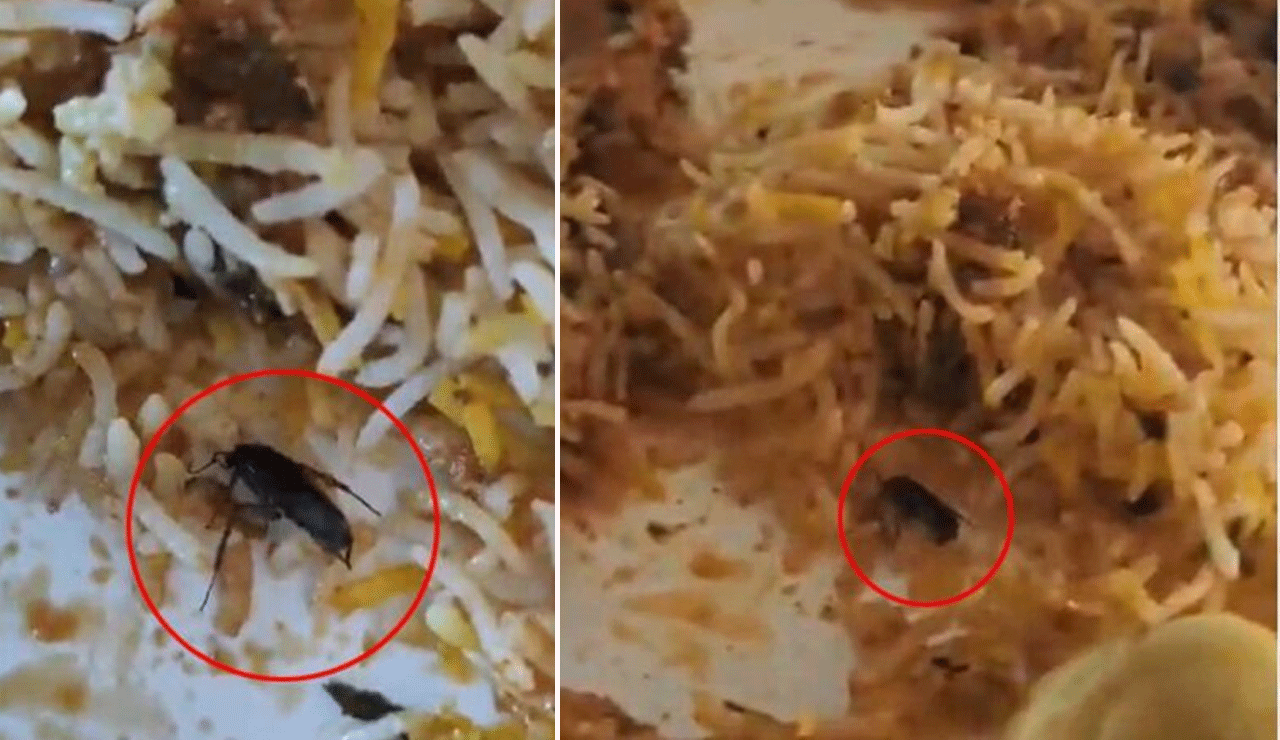 Shocking: Cockroach Found in Biryani at Famous Hyderabad Hotel (Video Goes Viral)