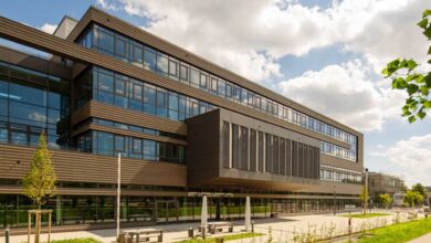 Postdoctoral Scholarships at Max Planck Institute: Exciting Opportunities in 2025