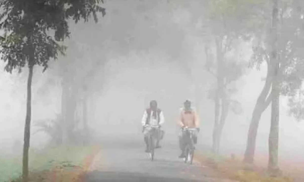 Telangana Weather Update: Adilabad Experiences Cold Mornings with Thick Fog and Low Temperatures