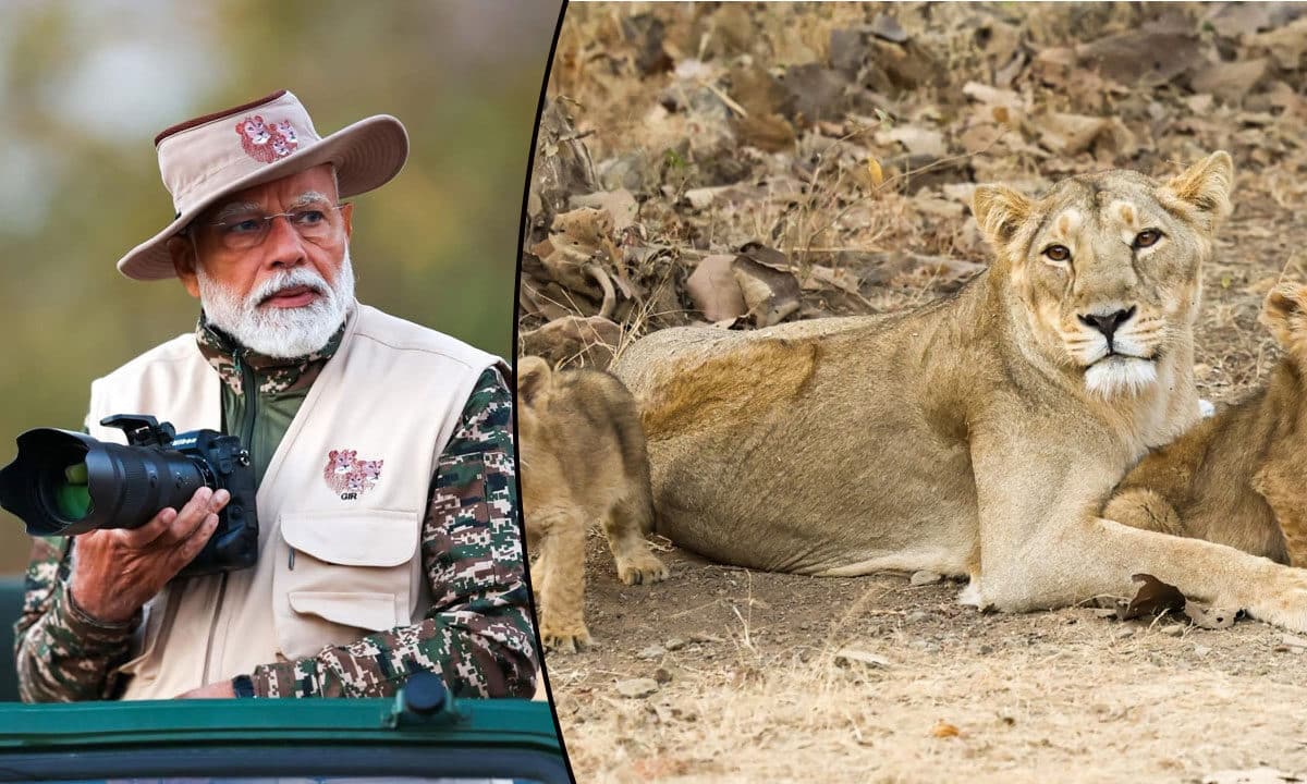 PM Modi Celebrates World Wildlife Day with Jungle Safari at Gir