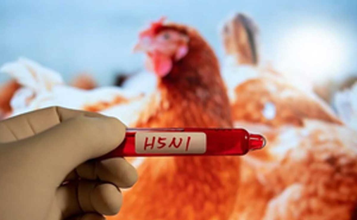 H5N1 Danger: Why Kids and Young Adults Are at Highest Risk!