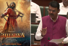 Is 'Chhaava' Movie the Reason Behind Nagpur Riots? CM Fadnavis’ Statement Will Shock You!