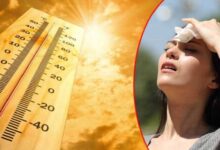 Telangana Sizzles as Temperatures Soar Beyond 40°C in Multiple Regions!