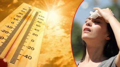 Telangana Sizzles as Temperatures Soar Beyond 40°C in Multiple Regions!