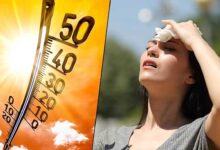 Heatwave Alert: Scorching Sun and Hot Winds Grip Telangana!