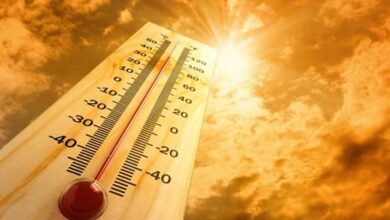 Telangana Under Heatwave Grip: Nizamabad Scorches at 41.3°C!