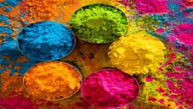 Hyderabad Holi 2025: Top Events, Venues & Parties You Must Attend!