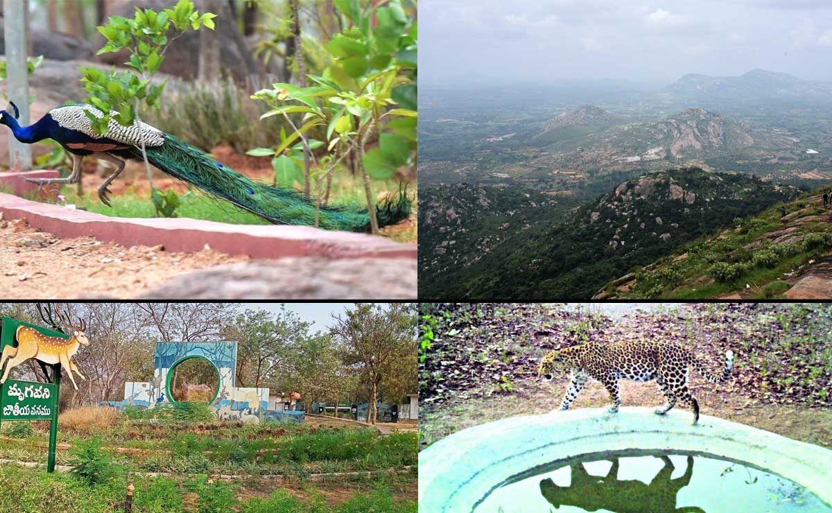 Escape the Heat! 7 Underrated Hill Stations Near Hyderabad to Visit