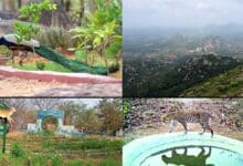 Escape the Heat! 7 Underrated Hill Stations Near Hyderabad to Visit