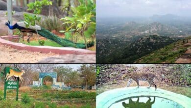 Escape the Heat! 7 Underrated Hill Stations Near Hyderabad to Visit