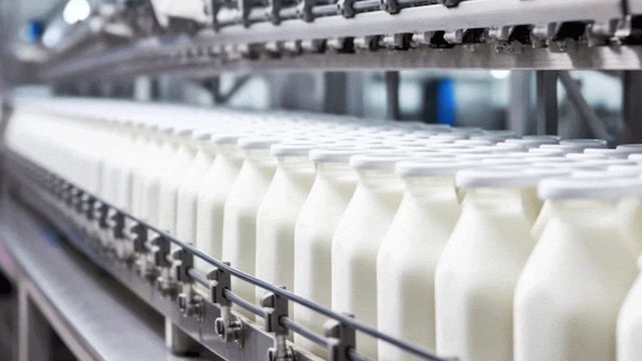 Hyderabad Food Regulators Intensify Surveillance on Dairy Analogues Amid Festive Season Concerns