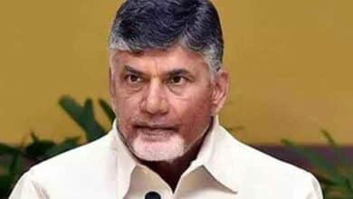 CM Chandrababu: Good News for Government Employees – Key Announcement Made!