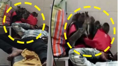 Horrifying Scene: Mice Infestation in Government Hospital's Children's Ward, Video Goes Viral