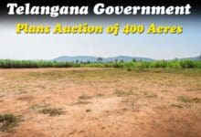 Telangana Government Plans Auction of 400 Acres in Kancha Gachibowli