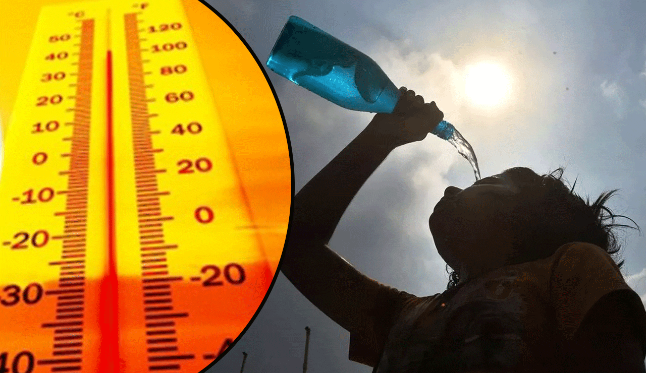 Heatwave Hits Telangana: Government Urges Urgent Action to Beat Rising Temperatures