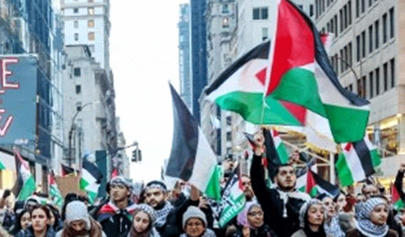 Pro-Palestine Protesters Rally Against Trump Administration in New York City