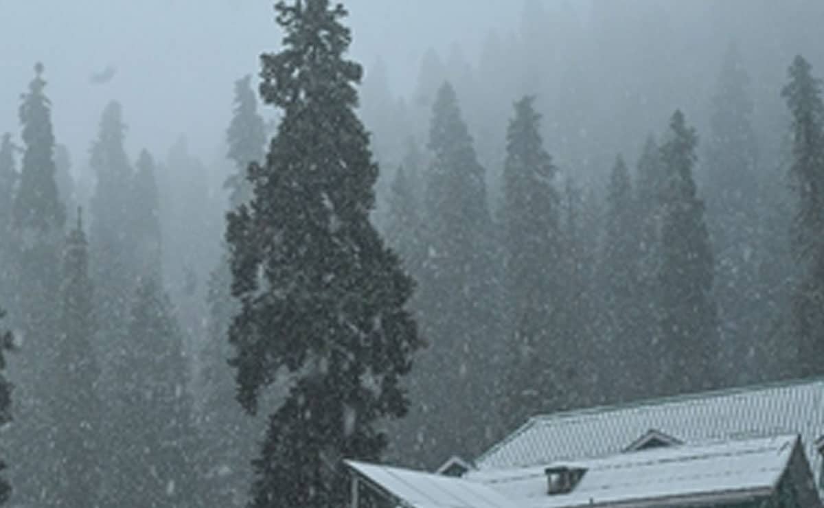 Snowfall in Higher Reaches of Kashmir, Rain Lashes J&K Plains