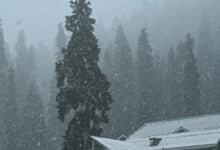 Snowfall in Higher Reaches of Kashmir, Rain Lashes J&K Plains