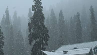 Snowfall in Higher Reaches of Kashmir, Rain Lashes J&K Plains