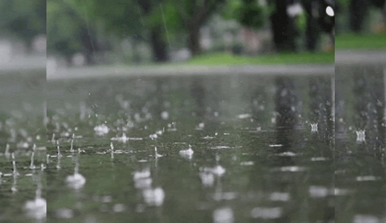 Light to Moderate Rain Predicted for Next Two Days