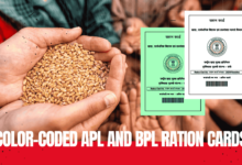 Color-coded APL (green) and BPL (white) ration cards to streamline subsidized essentials distribution in Telangana.