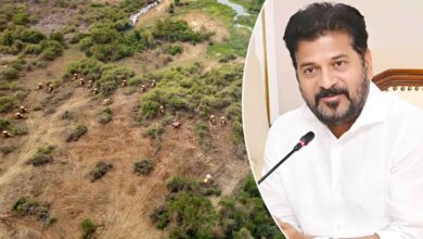 Hyderabad to Get 2,000-Acre World-Class Eco-Park as Government Bows to Environmental and Student Demands