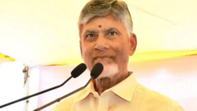 Chandrababu Naidu Turns 75: TDP Celebrates with Grand Statewide Festivities