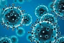 India Records 257 New COVID-19 Cases, All Reported as Mild: Health Ministry