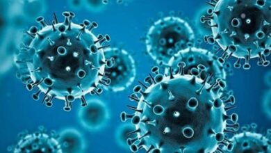 India Records 257 New COVID-19 Cases, All Reported as Mild: Health Ministry