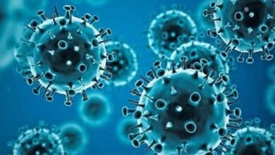 Andhra Pradesh Reports Fresh COVID-19 Case from Nandyal District
