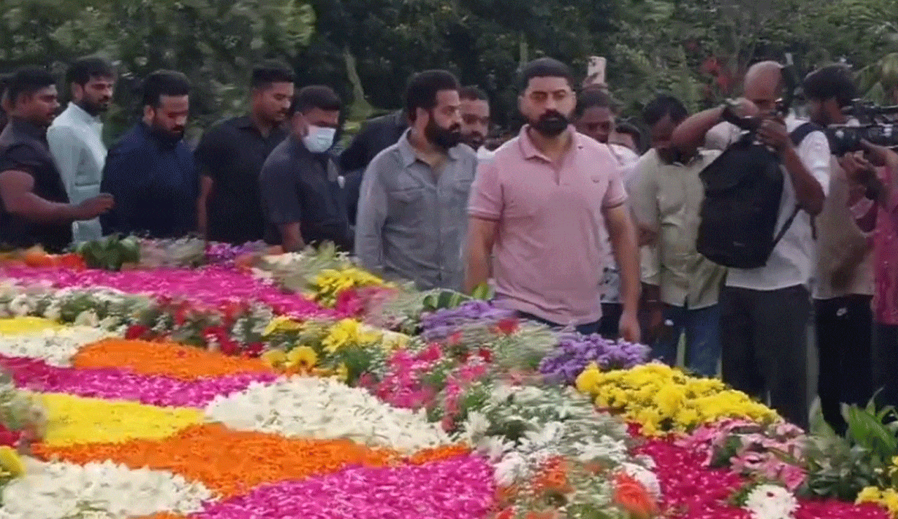 Jr NTR and Kalyan Ram Offer Floral Tributes at NTR Ghat in Hyderabad