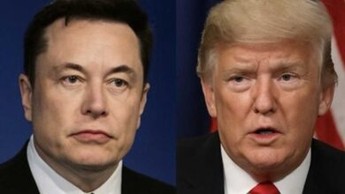 Elon Musk Steps Down as Trump Advisor, Ends Role as Special Government Employee