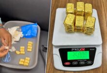 Hyderabad: Gold Smuggling Bid Foiled at RGIA, Passenger from Dubai Nabbed