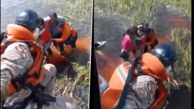 5 Survive Plane Crash in Amazon Swamp, Trapped for 36 Hours Among Alligators and Snakes