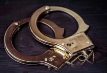 Wildlife Crime in Asifabad: Female Tiger Electrocuted, 15 Suspects in Custody