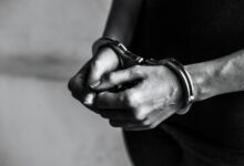 Telangana Couple Arrested for Cheating 41 Investors of ₹9 Crore Through Dairy Farm Scam