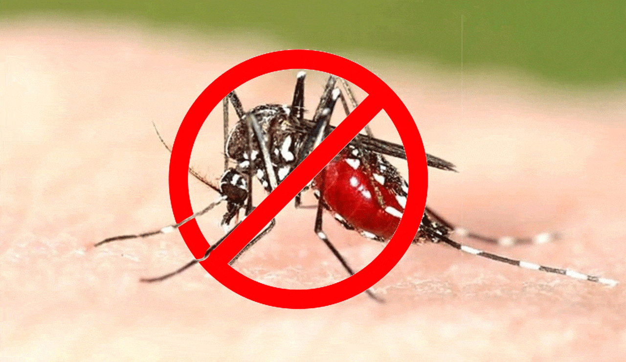 Telangana on Alert: Weekly "Dry Day" Mandated to Combat Seasonal Illness Surge